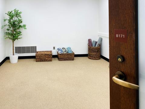 room with plant, yoga mats, and floor cushions